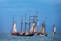 Segelschiffe auf der Hanse Sail in Rostock.